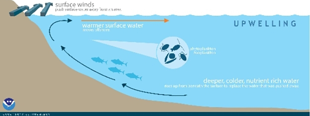 Why is the ocean so cold?