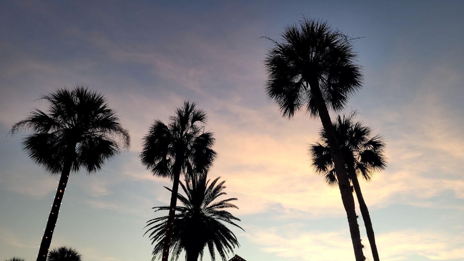 It’s Spring Break: How far south should you go?