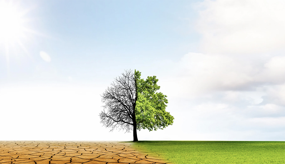 NJ’s drought improves but path to drought-free will get tougher