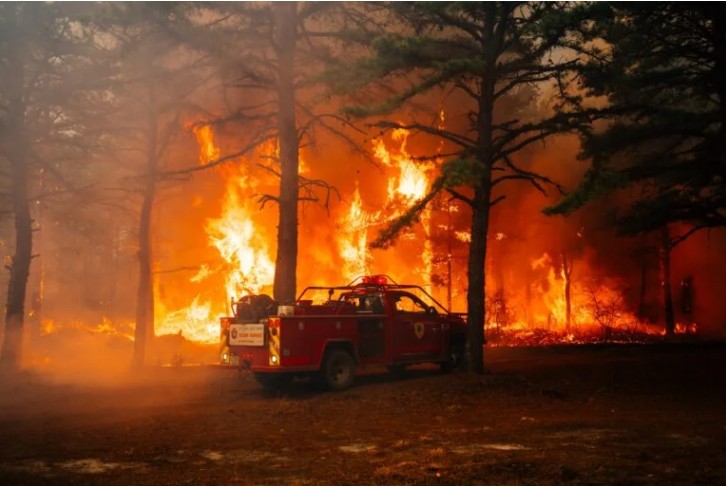 Jones Road Fire shows how fragile NJ’s Pine Barrens are